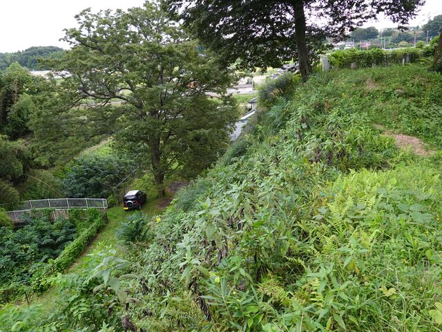 zin����̑�ӏ隬�̓��e�ʐ^3