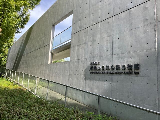 ���q�R���R�̐X������