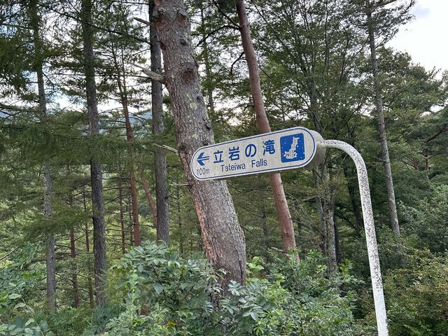 �k�P�Ă郉�C�_�[����̗���̑�̓��e�ʐ^1