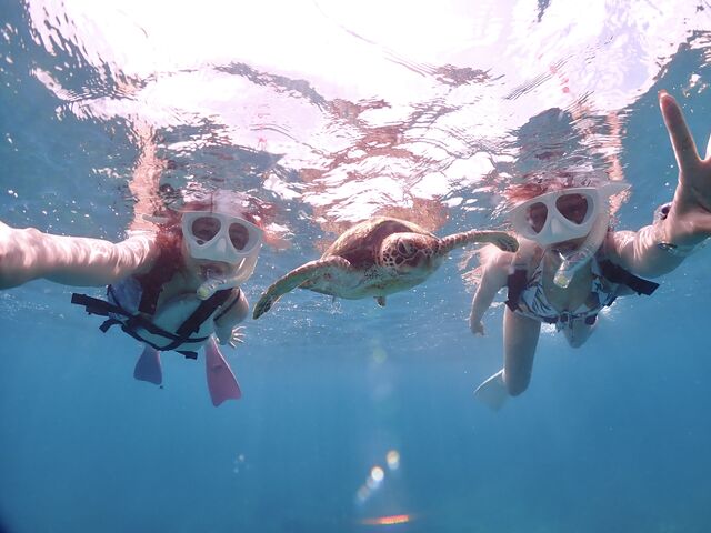 ����ȋ߂��ŊC�T����񌩂��Ȃ�āI_���Ⴑ����