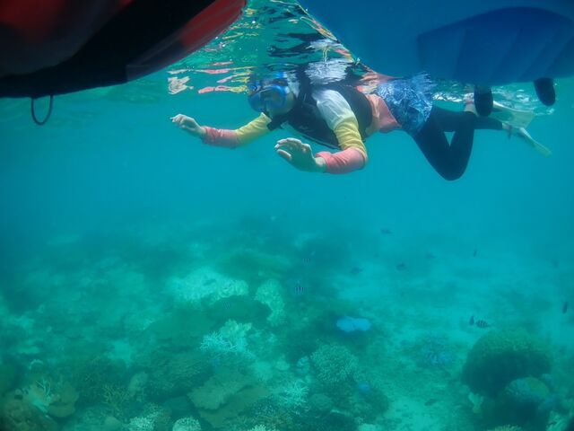 �t���[�ŉj�����Ă���鎞�Ԃ�����܂��B_�}�����V���b�v����