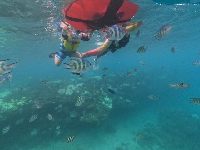 �������ȁI�I_�}�����V���b�v����