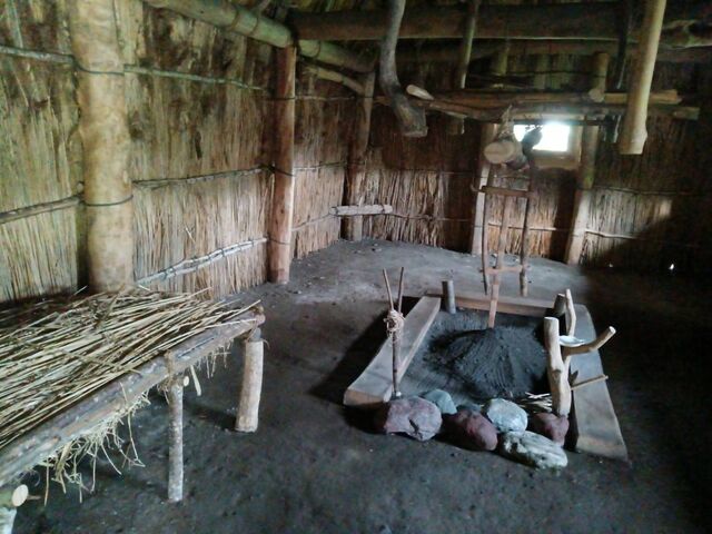 �Ŕ��Ȃ��Ƃ���ɂ���~�肨�ז����܂���(�N�����Ȃ��I)_�񕗒J�R�^��