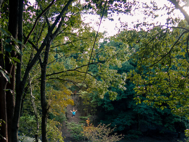 ����Ȃɒ����R�[�X�������_KYOTO ZIPLINE ADVENTURE