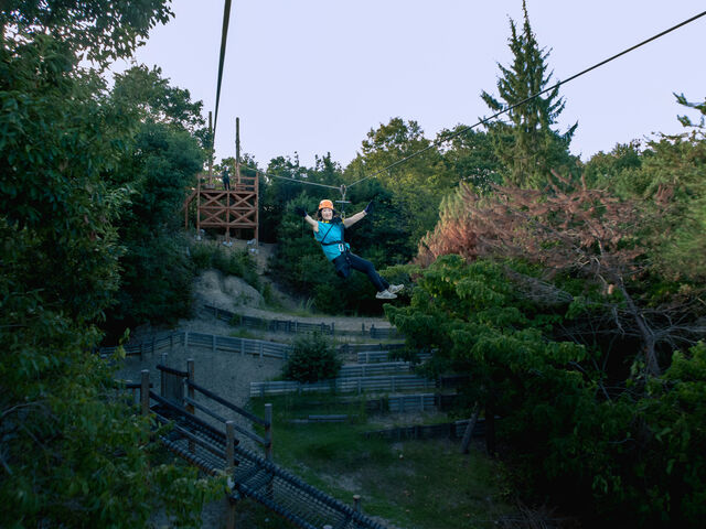 �Ōゾ����A���������Ĉ��]���Ă݂܂����I_KYOTO ZIPLINE ADVENTURE