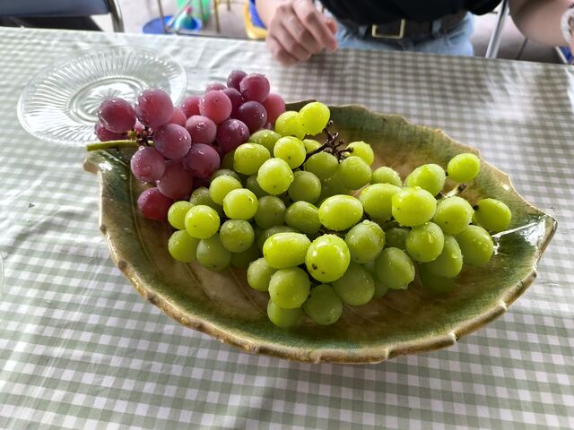 ŖOς邻łASr[ƂVC}XJbgÂĂƂĂ܂B_Mό