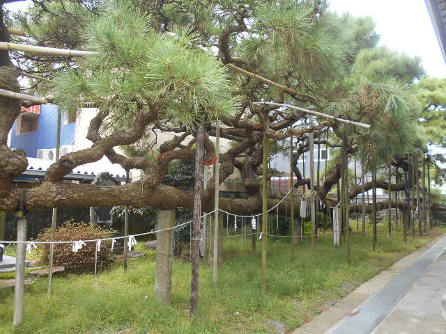 �p�_�̏��i����_�Ђ̂ނ�_�̏��j