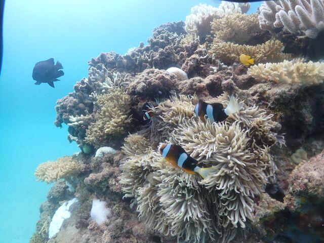 ���ꂢ�ȎX��̃|�C���g_EGG�_�C�r���O�V���b�v