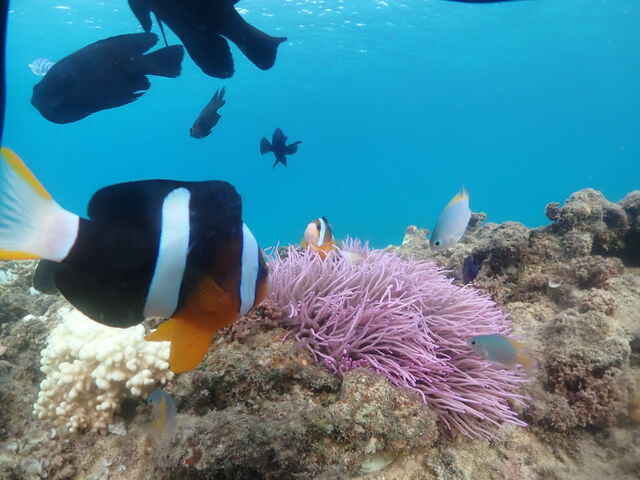 ����ȋ߂��܂ōs���ĎB���Ă��Ă���܂����I_EGG�_�C�r���O�V���b�v