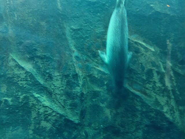 ����͐�Ό������Ȃ��V�[���ł��܂ł����Ă������Ƃ���ł��B_���R������