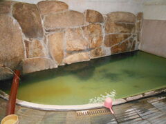 �g�V���[����̓V��������ւ̓��e�ʐ^1