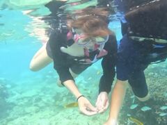 POWER MARINEip[}jꍡAmւ̓eʐ^1