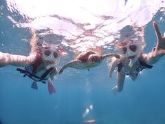 �ɂ��ł���̂��Ⴑ���тւ̓��e�ʐ^1