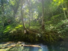 䂫̃BgJ̓]ւ̓eʐ^1