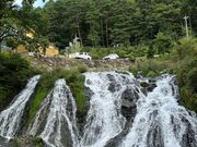 �k�P�Ă郉�C�_�[����̌�����̑�̓��e�ʐ^1