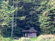 kPĂ郉C_[̗΂̓eʐ^1