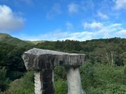 kPĂ郉C_[̗΂̓eʐ^1