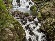 �k�P�Ă郉�C�_�[����̗���̑�̓��e�ʐ^1