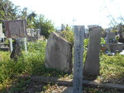 �g�V���[����̕�ɗ��n�C��̓��e�ʐ^1