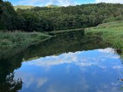 �k�P�Ă郉�C�_�[����̗���΂̓��e�ʐ^1