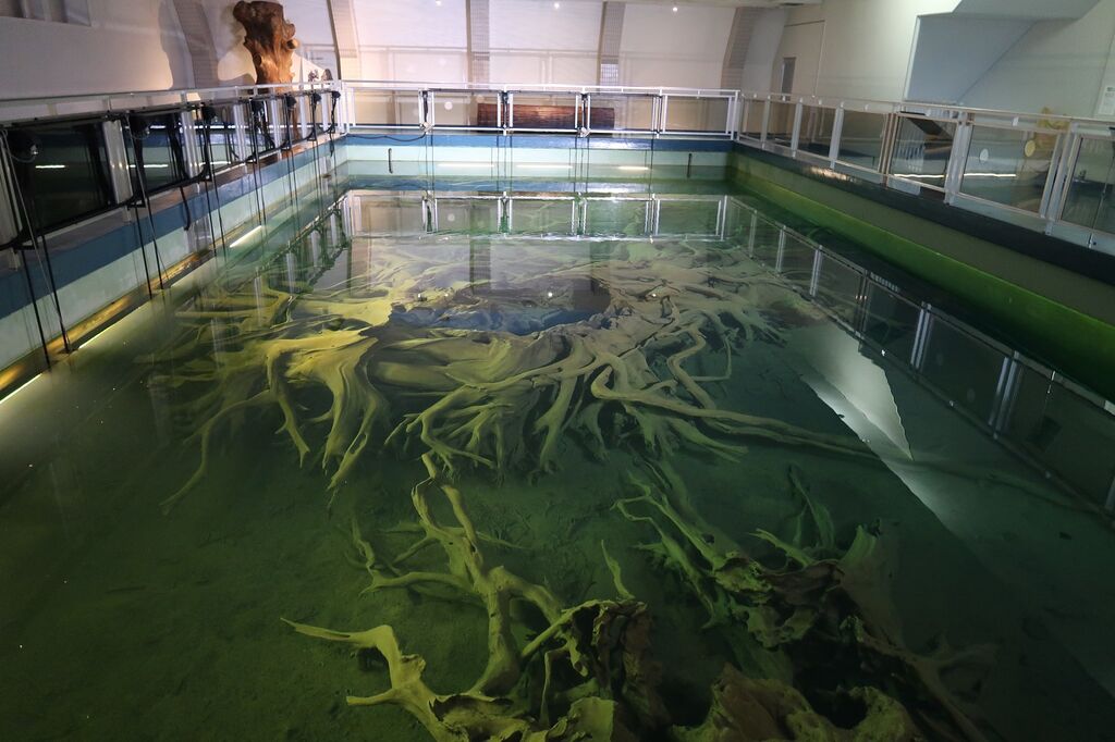 【中古】 日帰りで行く富山と近県の美術館・博物館ガイド 富山　長野　新潟　石川　福井　岐阜/北日本新聞社 楽天市場】【中古】 日帰りで行く富山と近県の美術館・博物館