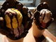 yosshyD gelatoւ̓eʐ^2