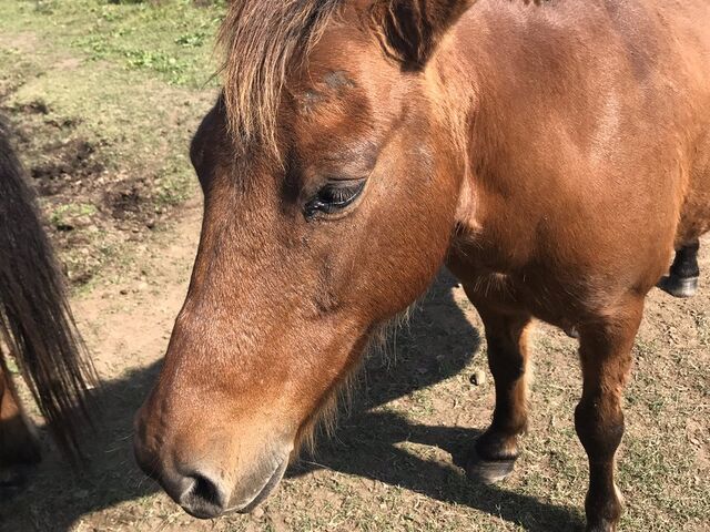 �l���������ΏB�n�ł���_����ӂꂠ���q��