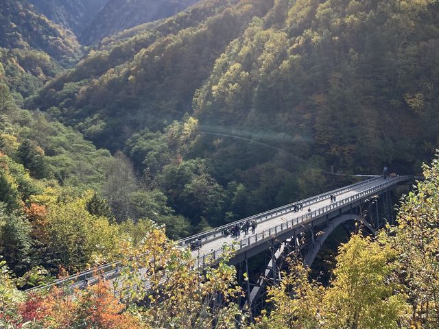 �f���炵�����P�[�V�����ł��I_�k�A���v�X�勴