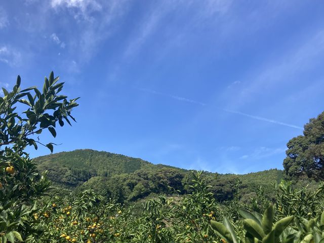 �݂��񔨂���̋�@_�Ȃ���������