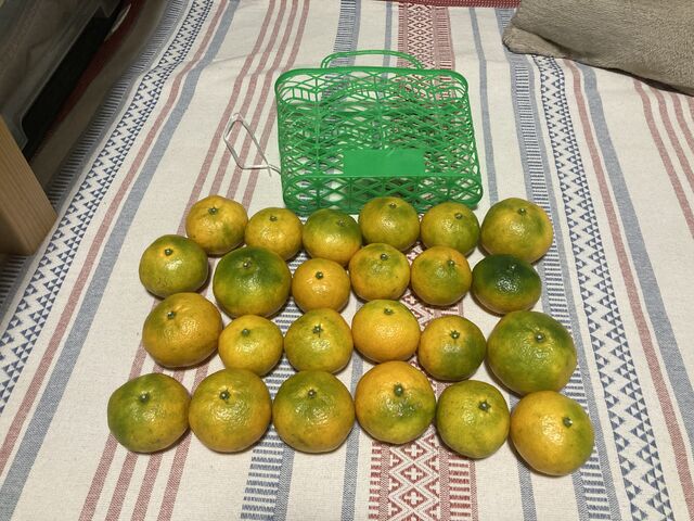 �������Ő����܂����I24����܂����I_�Ȃ���������