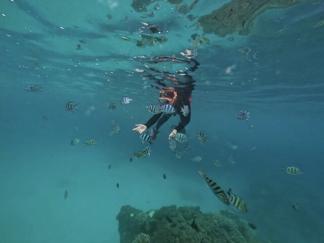 �J�ł��̌��ł����I_�_�C�r���O�V���b�vTI.OCEAN