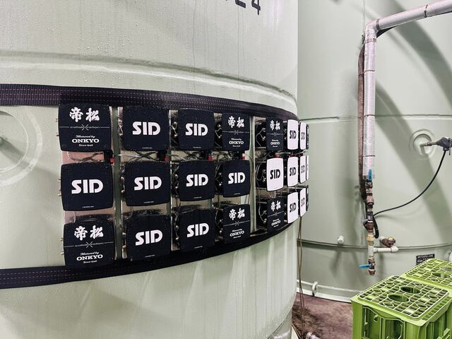 ���𒮂����Ē���_���������������