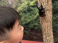 񂳂̒ނČڂ̍ ւ̓eʐ^1