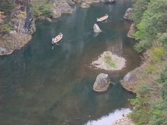 ނL`̋S{|݋ւ̓eʐ^1