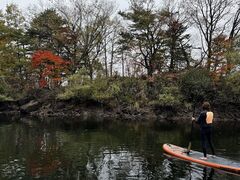 Fu-coBandai Power Sportsւ̓eʐ^1