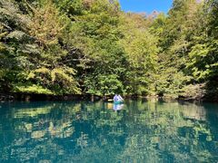 Ԃ邳̐AEghAZ^[(X)ւ̓eʐ^1