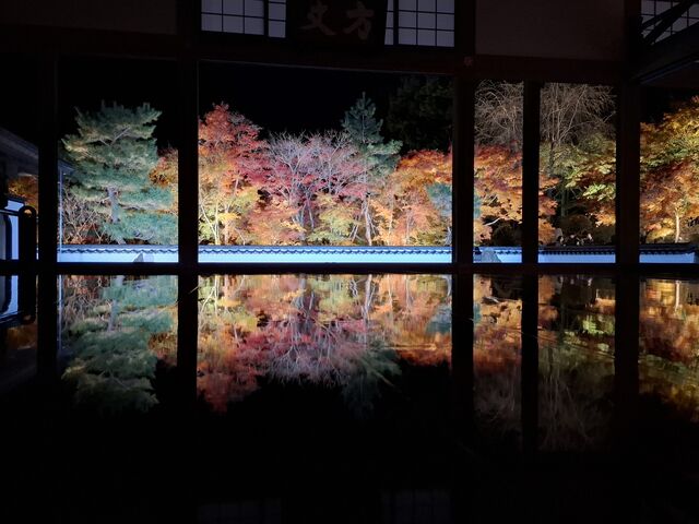 �ō����Y��!!
�������h���s�V���B���̍�����A���̂悤�ɉf��g�t�B�Ƃ��Ă��Y��ő喞���ł����B
_�󓿎�