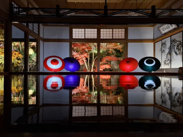 �P�̉��o���A�f�G!!
�Î�Ȓ��ł̎B�e�B�����ɓ������u�ԁA�F�����ŐS�ł���Ă��܂����B_�󓿎�