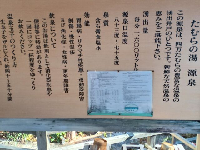 ����͂ƂĂ��M�������ł��B���ɂ��āu�M���I�v�Ǝv�킸�����o���܂����B�I�V���C���{�̎�O�ɗL��܂��B_�l�����ނ�