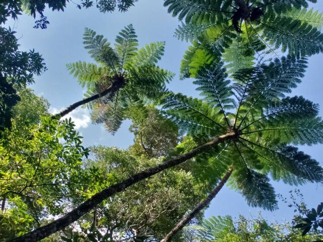 ΂ʐ^̎BĂ܂I_όlbg[N