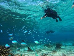 Ag̃I[X[Vm[P{Óւ̓eʐ^1