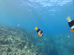 [}̃}Nu Gigiւ̓eʐ^1