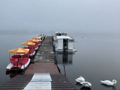 jasmiñ{[gnEXCւ̓eʐ^2