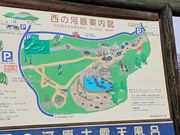 60̃Xm[{[h񂳂̃xc̓eʐ^2