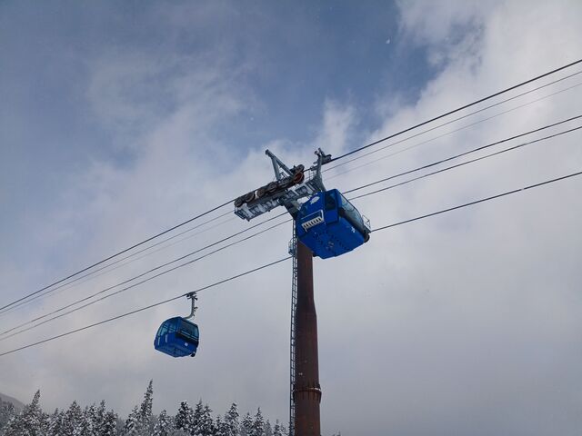 zCgCĨ}[N@ u[̃ShAQfs܂_mSh