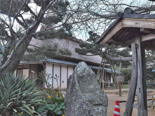 sklfh����̑��c��������y�ѕ�̓��e�ʐ^1