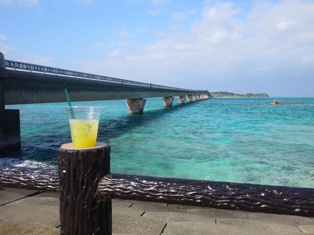 ��肽�Ă̂��Ƃ����уh�����N�ƒr�ԑ勴�B_�r�ԑ勴