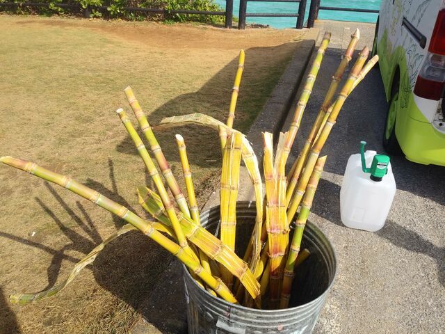 ���Ƃ����сB��������Ƃ̂́A���ׂ������Ȃ��Ă܂��B_�r�ԑ勴