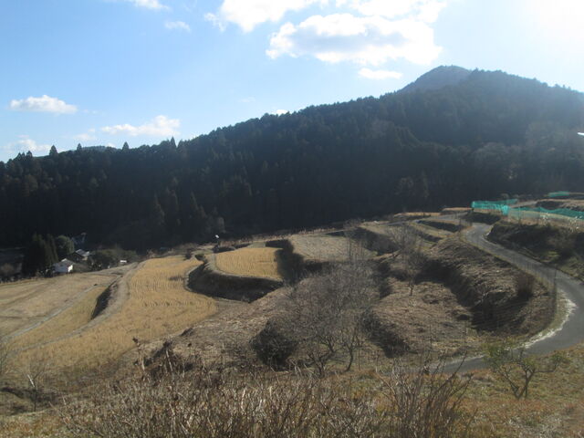 ��̕��̓c��ڂ͕s��`�ŒI�c�����傫��_�\�����J�̒I�c