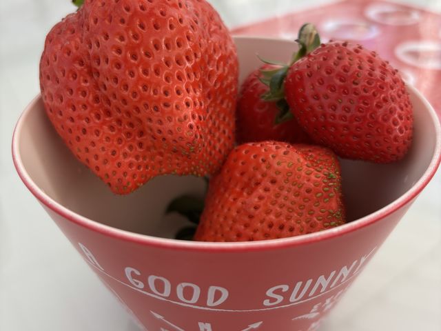 ���������_FUNDAYFARM